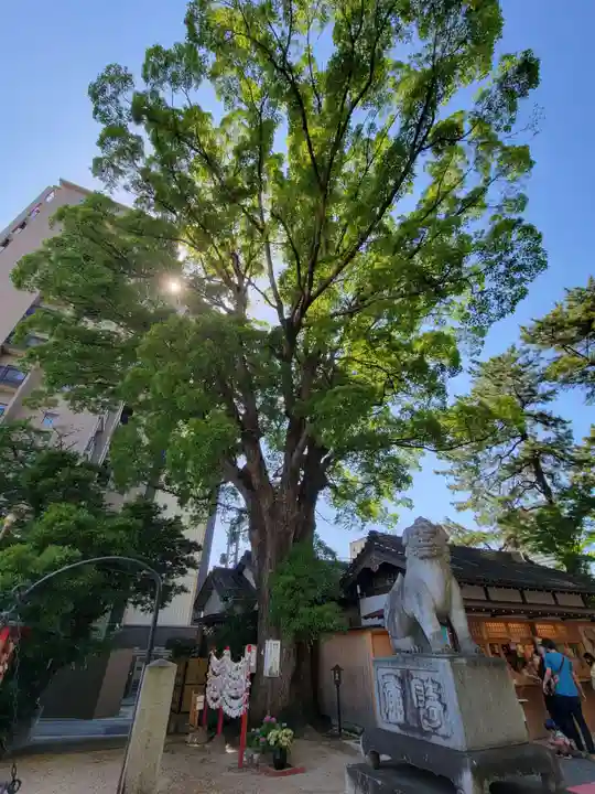 菅生神社の自然