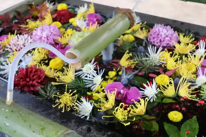 石神井氷川神社(東京都)