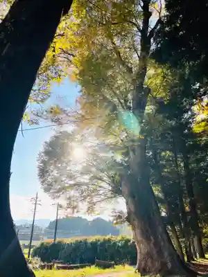 西念寺(茨城県)