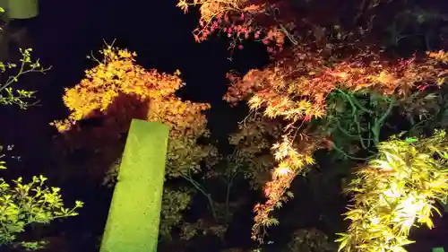 北広島市総鎮守　廣島神社の自然