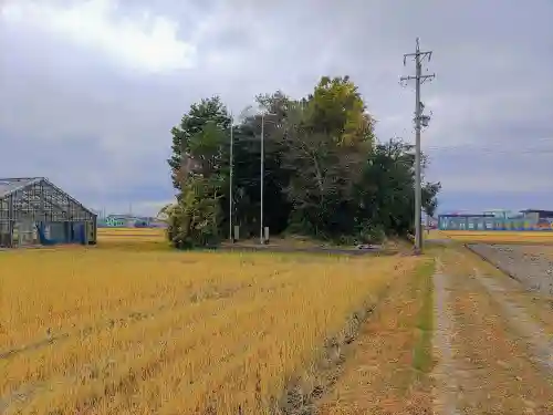 八劔社（宇治町）の自然