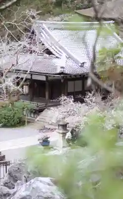 石山寺の御朱印