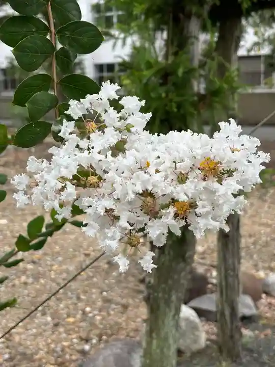 多田幸寺の自然