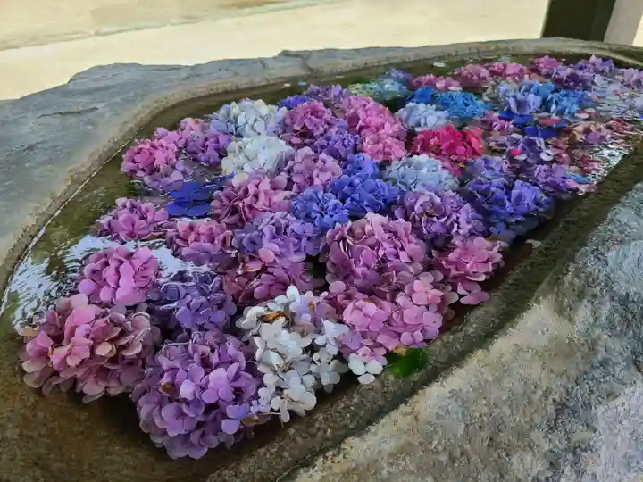 筥崎宮(福岡県)