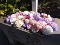 初生衣神社(静岡県)