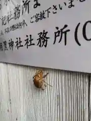 羽黒神社(石川県)