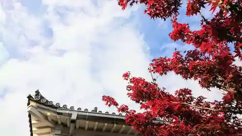寿量山　速成寺のその他建物
