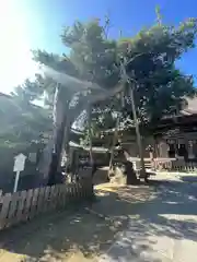 玉崎神社(千葉県)