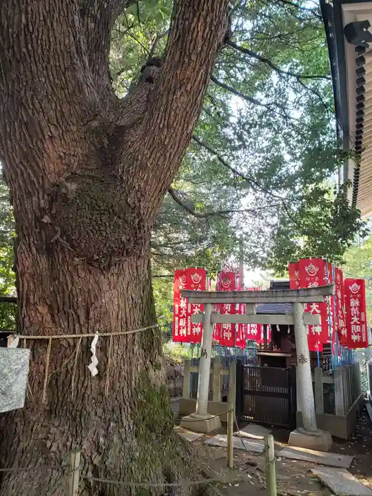 諏訪神社(東京都)