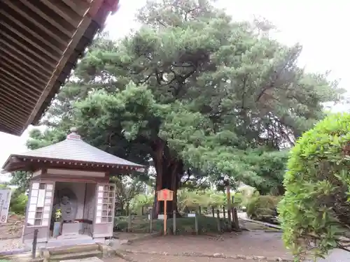 安養院　(田代寺）のその他建物