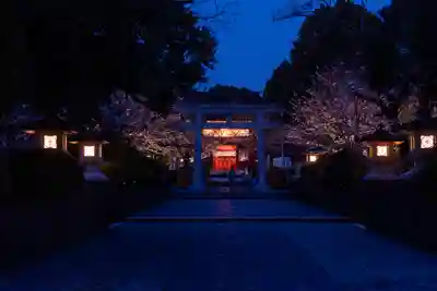 富士山本宮浅間大社(静岡県)