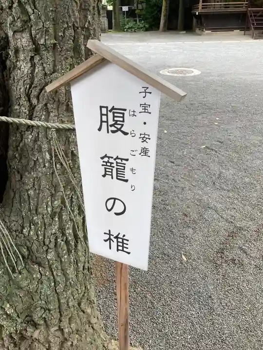 七社神社の自然