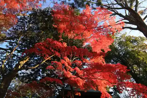 國祖神社の自然