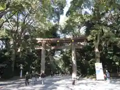 明治神宮の鳥居