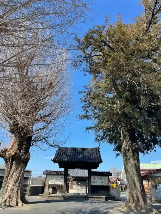 天王院の{uncategorized: "未分類", other: "その他", undefined: "問題あり", building: "その他建物", grave: "お墓", sacred_gate: "鳥居", guardian: "狛犬", statue: "像", buddha: "仏像", history: "歴史", nature: "自然", garden: "庭園", animal: "動物", pagoda: "塔", temizu: "手水舎", mountain_gate: "山門・神門", sanctuary: "本殿・本堂", subordinate: "末社・摂社", art: "芸術", scenery: "景色", jizo: "地蔵", ema: "絵馬", goshuin: "御朱印", omikuji: "おみくじ", items: "授与品その他", amulet: "お守り", goshuincho: "御朱印帳", eats: "食事", festival: "お祭り", votive_dance: "神楽", shichigosan: "七五三参", wedding: "結婚式", experience: "体験その他", initially: "初詣", around: "周辺", anti_infection: "感染症対策"}
