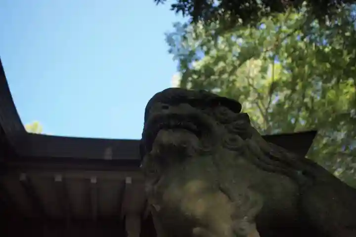 常陸國總社宮の狛犬