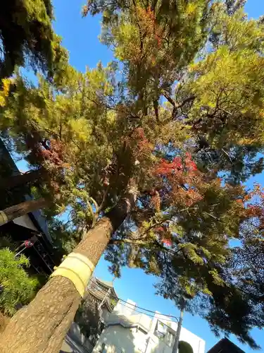 三寳寺(東京都)
