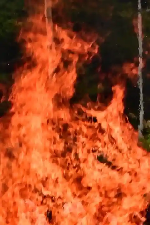 竹之高地不動社(新潟県)