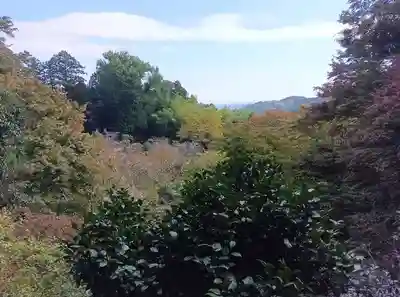 八王寺(埼玉県)