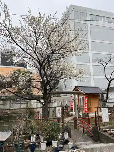 磐井神社の末社