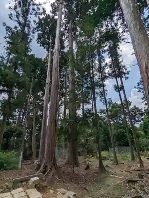 鞍馬寺(京都府)