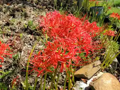 八多神社の自然