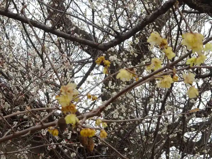 天満宮(神奈川県)