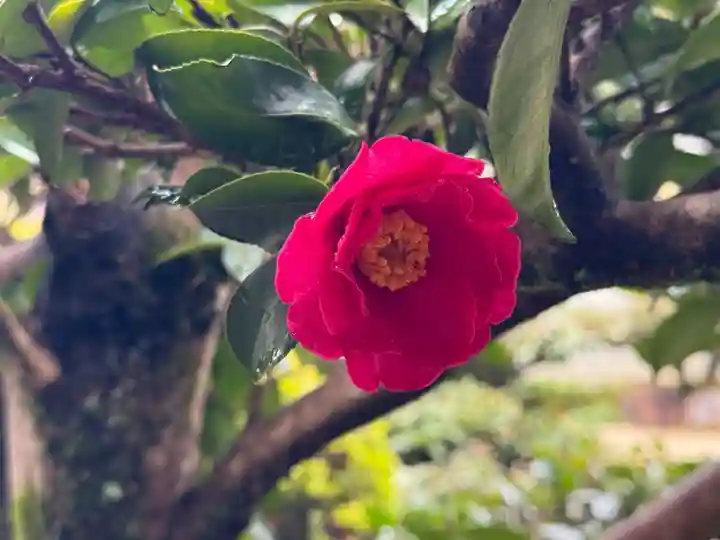 西方山極楽寺(岐阜県)