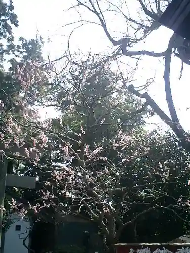 荏柄天神社のその他建物