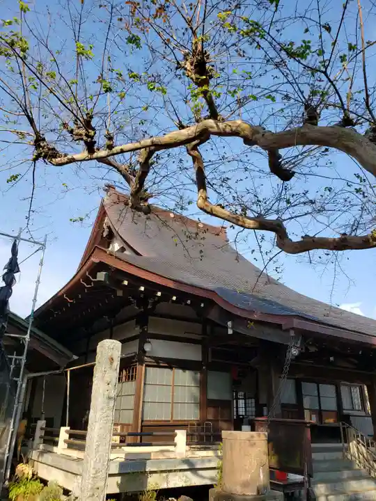 吉祥院の本殿・本堂