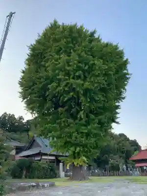 長栄寺(千葉県)