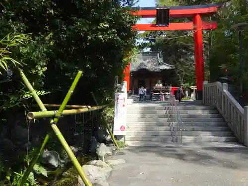 白笹稲荷神社の鳥居