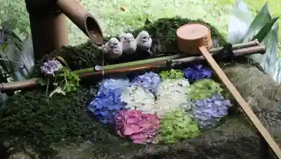 柳谷観音　楊谷寺(京都府)