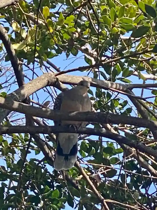 總神社(京都府)