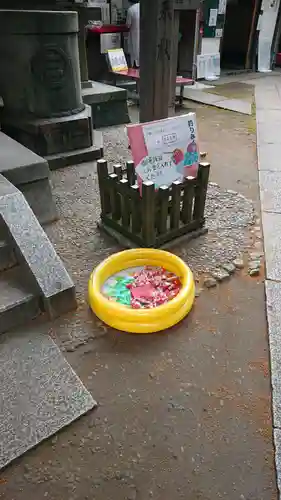 三島神社のおみくじ