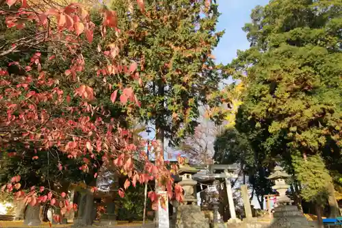 熊野福藏神社の景色