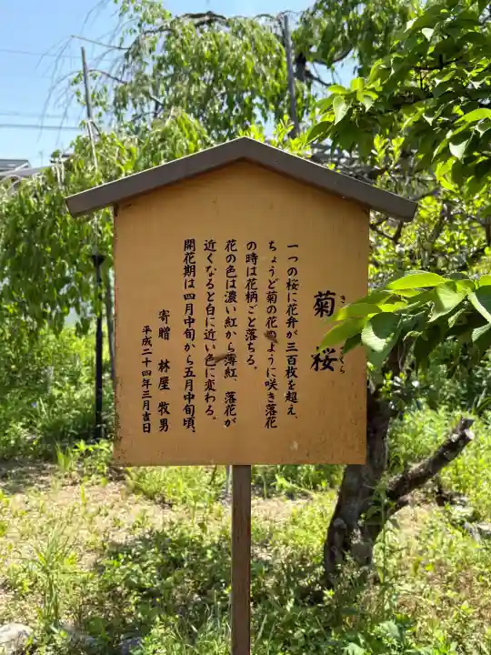 橋寺 放生院の{uncategorized: "未分類", other: "その他", undefined: "問題あり", building: "その他建物", grave: "お墓", sacred_gate: "鳥居", guardian: "狛犬", statue: "像", buddha: "仏像", history: "歴史", nature: "自然", garden: "庭園", animal: "動物", pagoda: "塔", temizu: "手水舎", mountain_gate: "山門・神門", sanctuary: "本殿・本堂", subordinate: "末社・摂社", art: "芸術", scenery: "景色", jizo: "地蔵", ema: "絵馬", goshuin: "御朱印", omikuji: "おみくじ", items: "授与品その他", amulet: "お守り", goshuincho: "御朱印帳", eats: "食事", festival: "お祭り", votive_dance: "神楽", shichigosan: "七五三参", wedding: "結婚式", experience: "体験その他", initially: "初詣", around: "周辺", anti_infection: "感染症対策"}