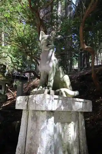 三峯神社の狛犬