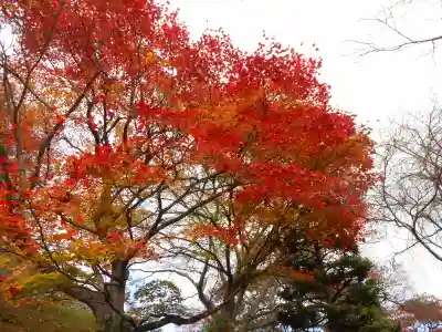 善峯寺(京都府)