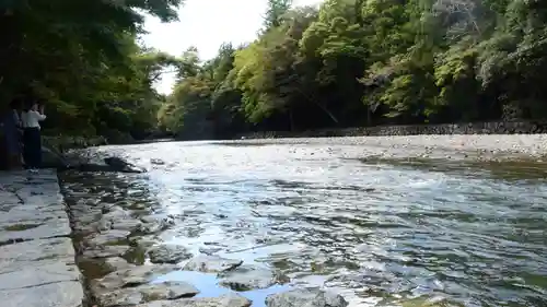 伊勢神宮外宮（豊受大神宮）の自然
