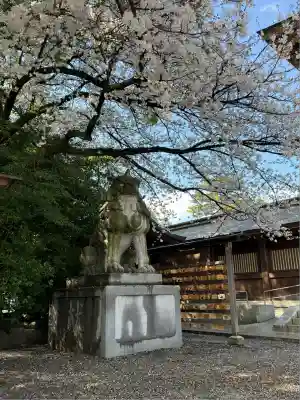 寒川神社(神奈川県)