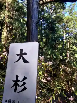 玉置神社の{uncategorized: "未分類", other: "その他", undefined: "問題あり", building: "その他建物", grave: "お墓", sacred_gate: "鳥居", guardian: "狛犬", statue: "像", buddha: "仏像", history: "歴史", nature: "自然", garden: "庭園", animal: "動物", pagoda: "塔", temizu: "手水舎", mountain_gate: "山門・神門", sanctuary: "本殿・本堂", subordinate: "末社・摂社", art: "芸術", scenery: "景色", jizo: "地蔵", ema: "絵馬", goshuin: "御朱印", omikuji: "おみくじ", items: "授与品その他", amulet: "お守り", goshuincho: "御朱印帳", eats: "食事", festival: "お祭り", votive_dance: "神楽", shichigosan: "七五三参", wedding: "結婚式", experience: "体験その他", initially: "初詣", around: "周辺", anti_infection: "感染症対策"}
