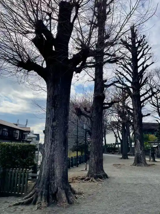 平塚神社の{uncategorized: "未分類", other: "その他", undefined: "問題あり", building: "その他建物", grave: "お墓", sacred_gate: "鳥居", guardian: "狛犬", statue: "像", buddha: "仏像", history: "歴史", nature: "自然", garden: "庭園", animal: "動物", pagoda: "塔", temizu: "手水舎", mountain_gate: "山門・神門", sanctuary: "本殿・本堂", subordinate: "末社・摂社", art: "芸術", scenery: "景色", jizo: "地蔵", ema: "絵馬", goshuin: "御朱印", omikuji: "おみくじ", items: "授与品その他", amulet: "お守り", goshuincho: "御朱印帳", eats: "食事", festival: "お祭り", votive_dance: "神楽", shichigosan: "七五三参", wedding: "結婚式", experience: "体験その他", initially: "初詣", around: "周辺", anti_infection: "感染症対策"}