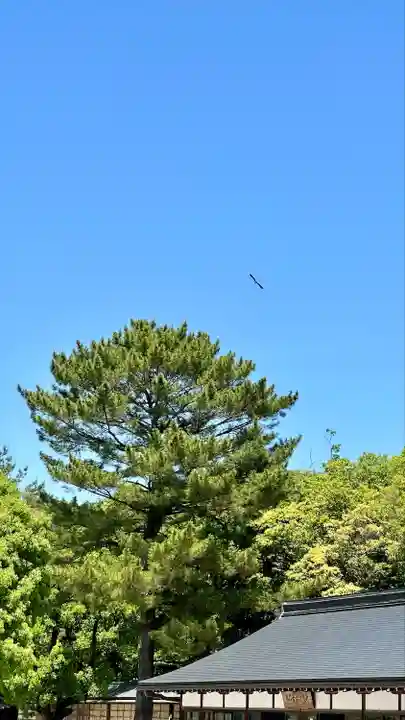 橿原神宮(奈良県)