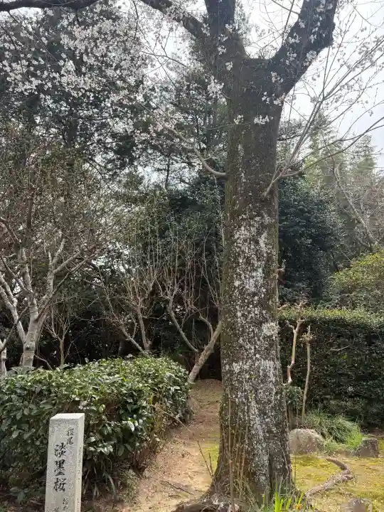 花岳寺の{uncategorized: "未分類", other: "その他", undefined: "問題あり", building: "その他建物", grave: "お墓", sacred_gate: "鳥居", guardian: "狛犬", statue: "像", buddha: "仏像", history: "歴史", nature: "自然", garden: "庭園", animal: "動物", pagoda: "塔", temizu: "手水舎", mountain_gate: "山門・神門", sanctuary: "本殿・本堂", subordinate: "末社・摂社", art: "芸術", scenery: "景色", jizo: "地蔵", ema: "絵馬", goshuin: "御朱印", omikuji: "おみくじ", items: "授与品その他", amulet: "お守り", goshuincho: "御朱印帳", eats: "食事", festival: "お祭り", votive_dance: "神楽", shichigosan: "七五三参", wedding: "結婚式", experience: "体験その他", initially: "初詣", around: "周辺", anti_infection: "感染症対策"}