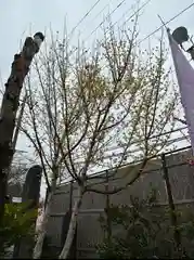 鹿島神社(栃木県)