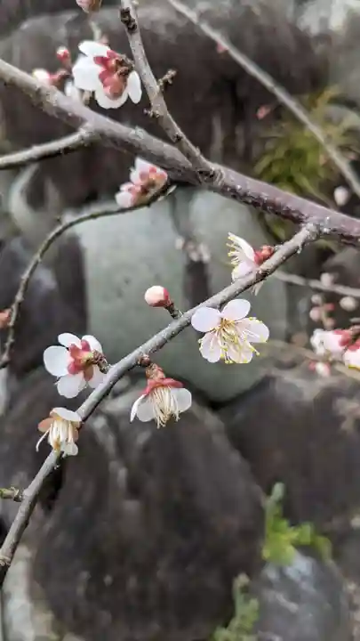 太部古天神社(岐阜県)