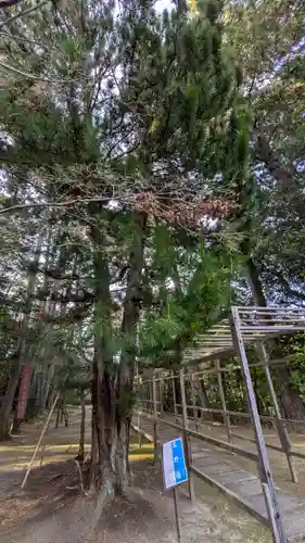 安養寺(滋賀県)