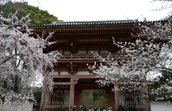 醍醐寺(京都府)