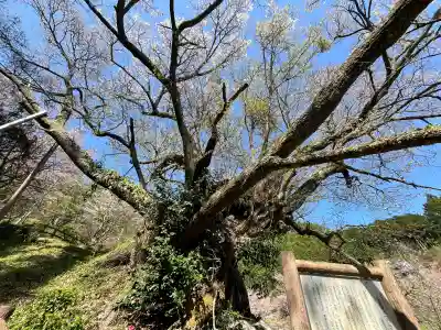仏隆寺の{uncategorized: "未分類", other: "その他", undefined: "問題あり", building: "その他建物", grave: "お墓", sacred_gate: "鳥居", guardian: "狛犬", statue: "像", buddha: "仏像", history: "歴史", nature: "自然", garden: "庭園", animal: "動物", pagoda: "塔", temizu: "手水舎", mountain_gate: "山門・神門", sanctuary: "本殿・本堂", subordinate: "末社・摂社", art: "芸術", scenery: "景色", jizo: "地蔵", ema: "絵馬", goshuin: "御朱印", omikuji: "おみくじ", items: "授与品その他", amulet: "お守り", goshuincho: "御朱印帳", eats: "食事", festival: "お祭り", votive_dance: "神楽", shichigosan: "七五三参", wedding: "結婚式", experience: "体験その他", initially: "初詣", around: "周辺", anti_infection: "感染症対策"}